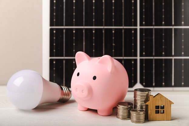 Pusculita si panou fotovoltaic